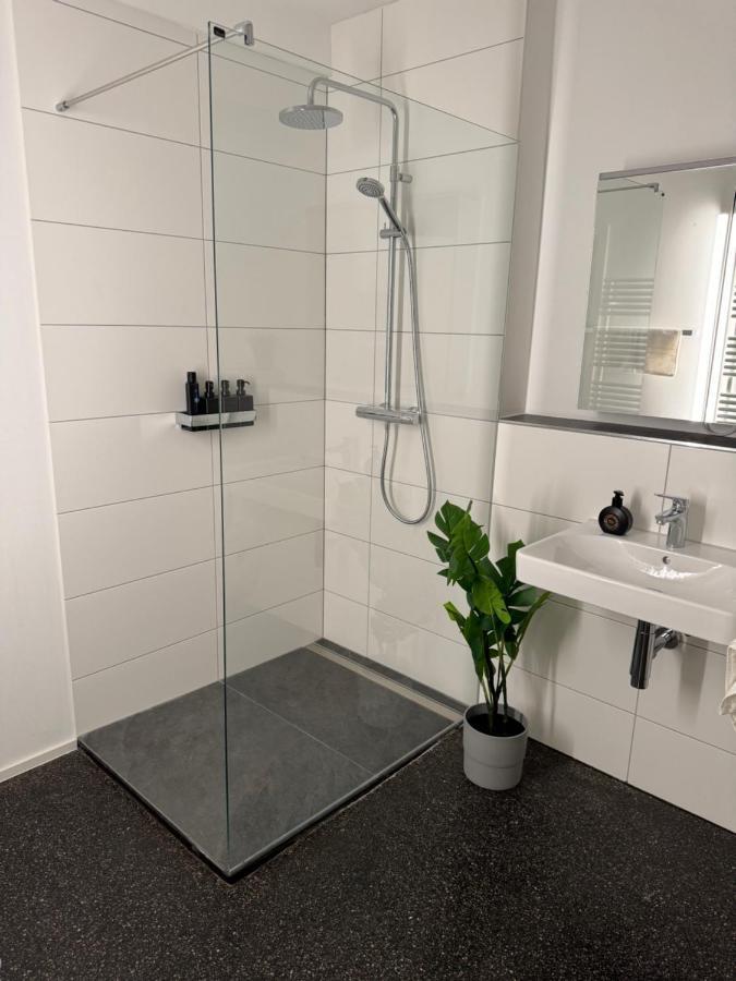 Isaak Appartment Stadtjuwel Waldshut-Tiengen Kültér fotó