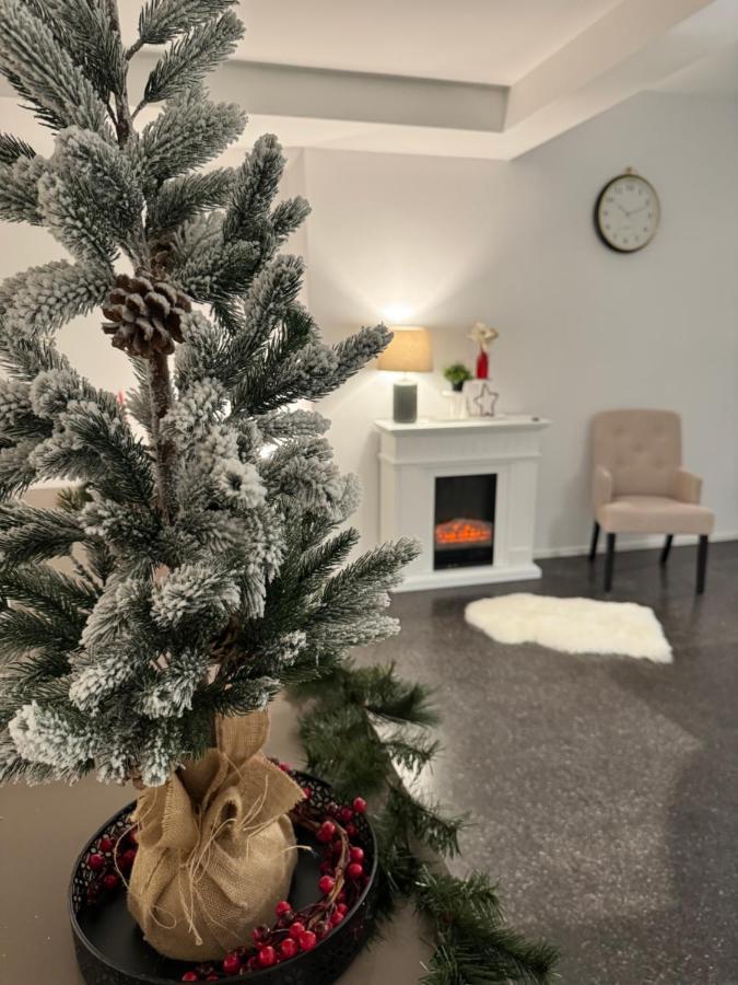 Isaak Appartment Stadtjuwel Waldshut-Tiengen Kültér fotó