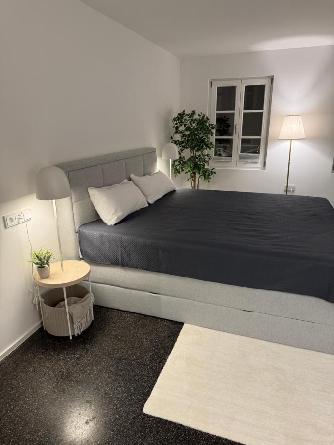 Isaak Appartment Stadtjuwel Waldshut-Tiengen Kültér fotó