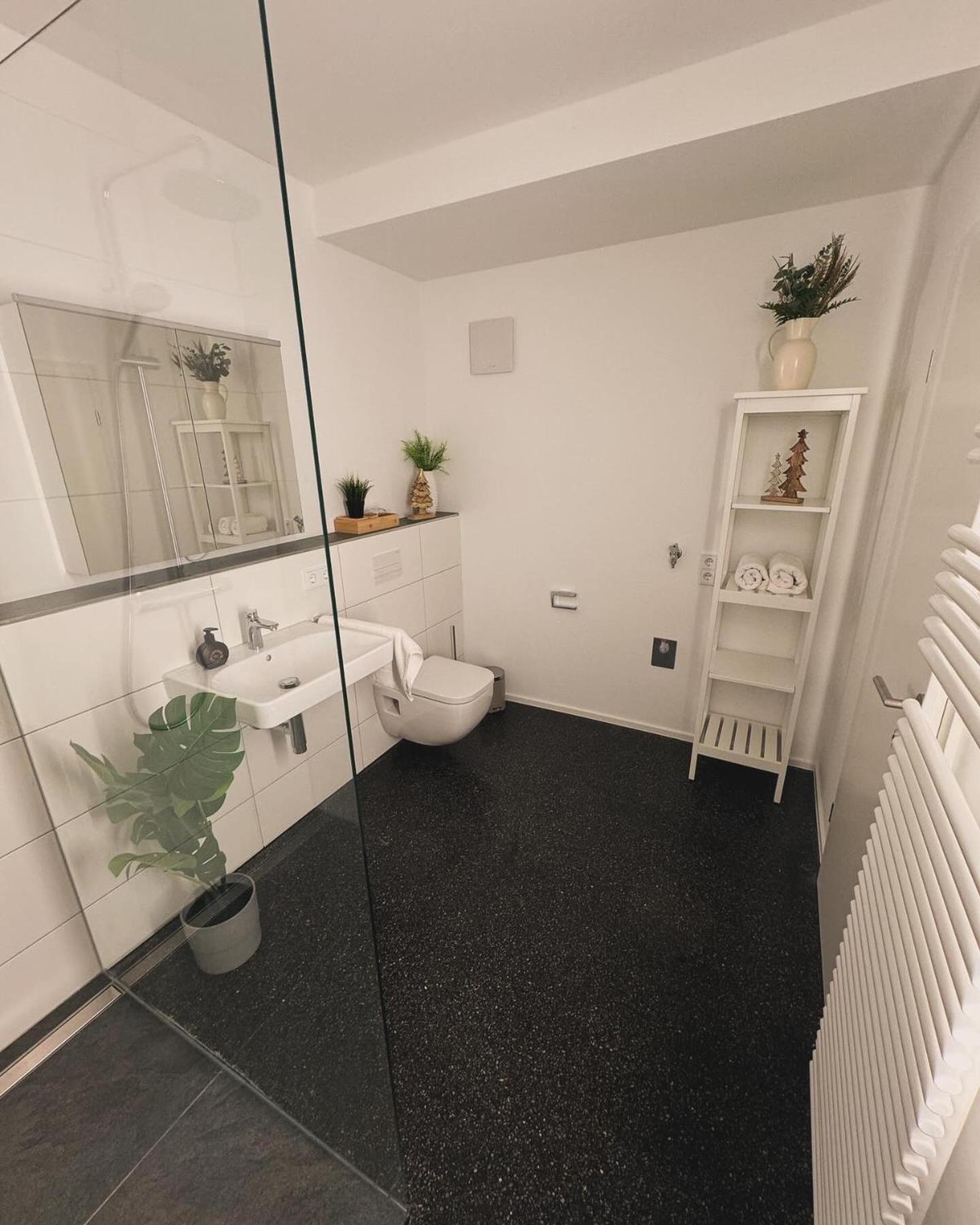 Isaak Appartment Stadtjuwel Waldshut-Tiengen Kültér fotó