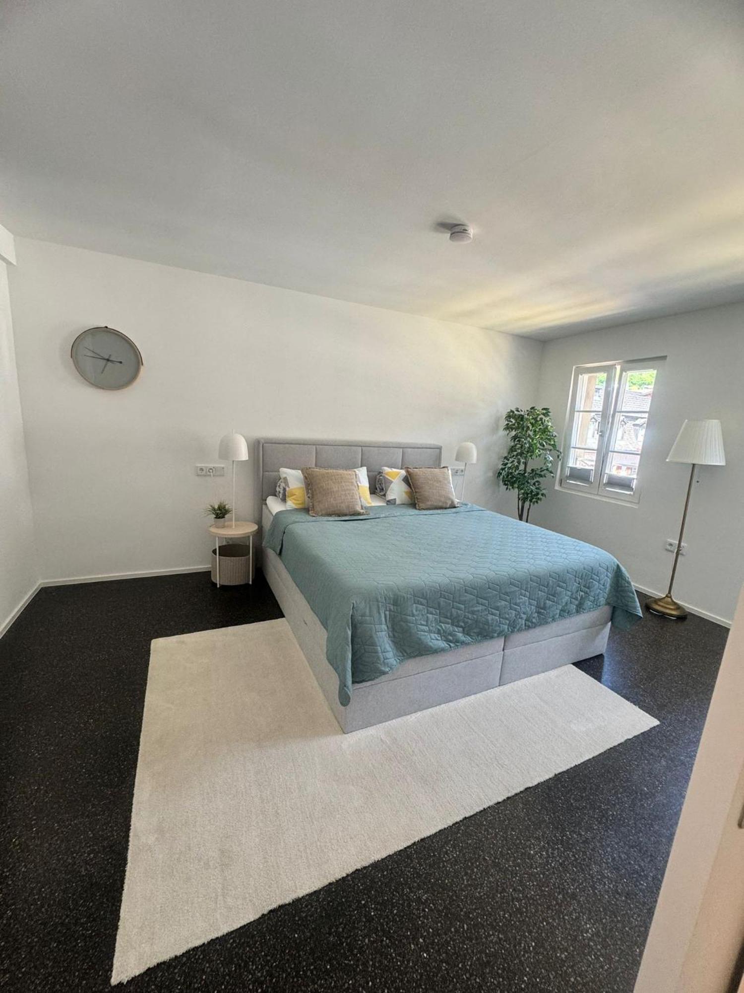 Isaak Appartment Stadtjuwel Waldshut-Tiengen Kültér fotó